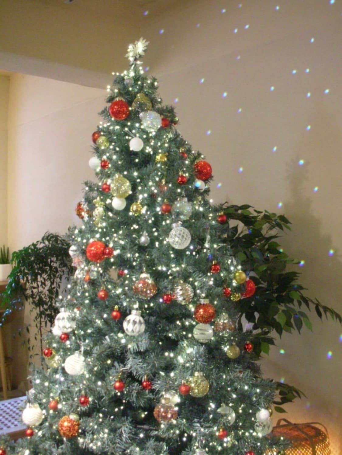 니콘 쿨픽스 S3 노제 디카 상품이미지8