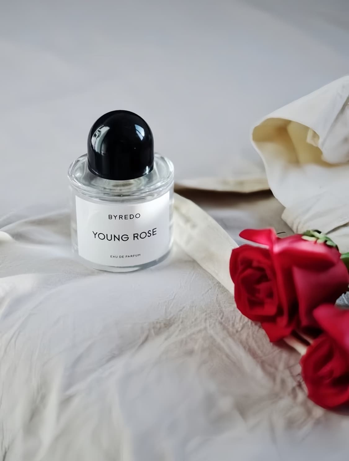 바이레도 스테디셀러 영로즈 50ml 상품이미지5