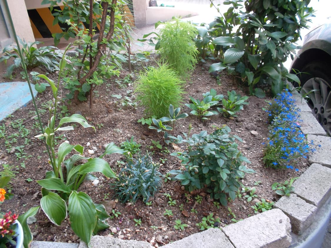 삼성 vluu st65 디카 (빈티지 카메라) 상품이미지9