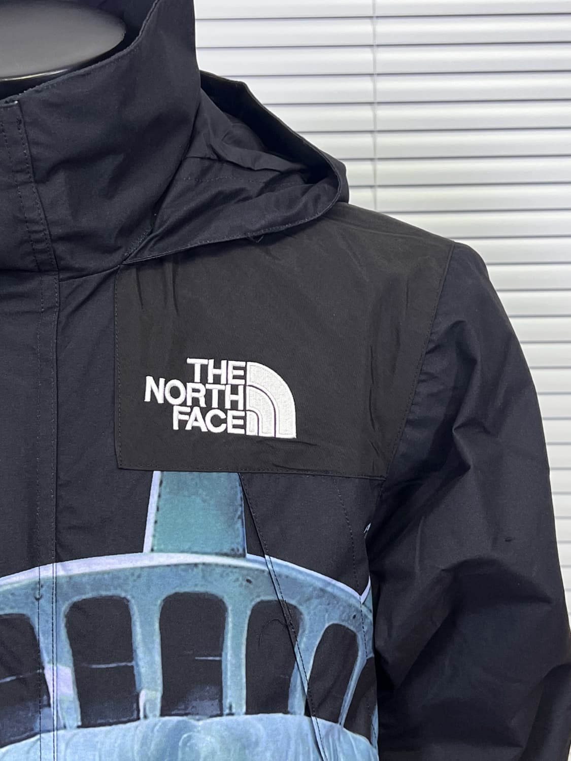 슈프림 x 노스페이스 자유의 여신상 발토로 자켓 블랙 상품이미지5