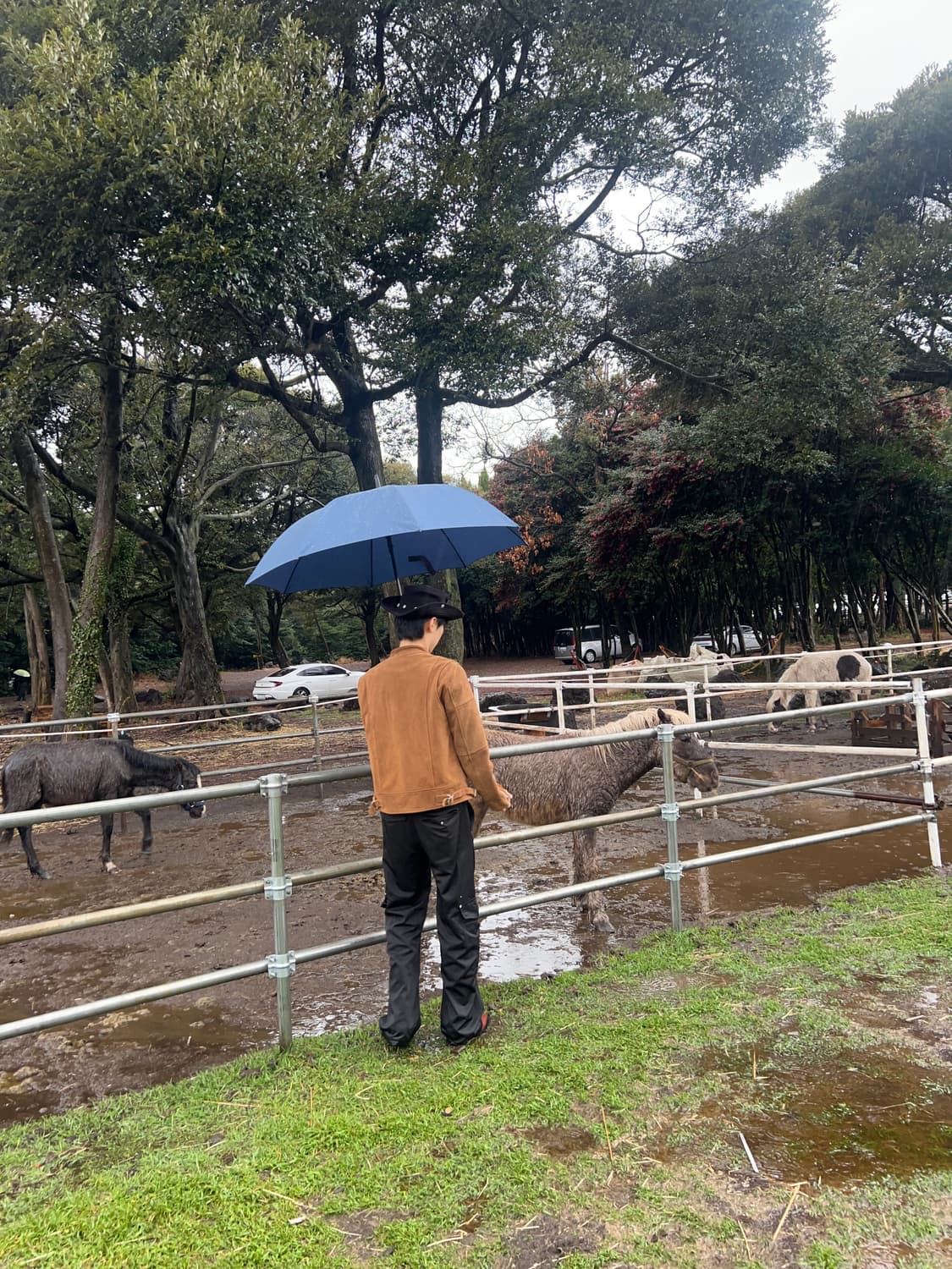 ssrl 카우 스웨이드 라이더 자켓 상품이미지2