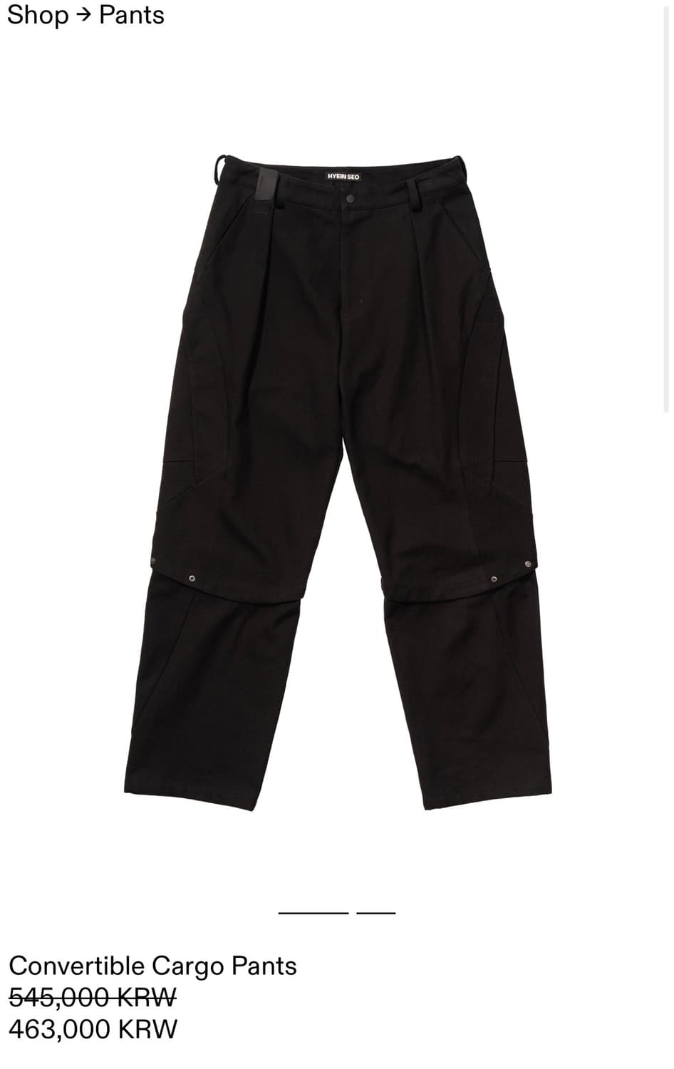Hyein Seo Convertible Cargo Pants 상품이미지3