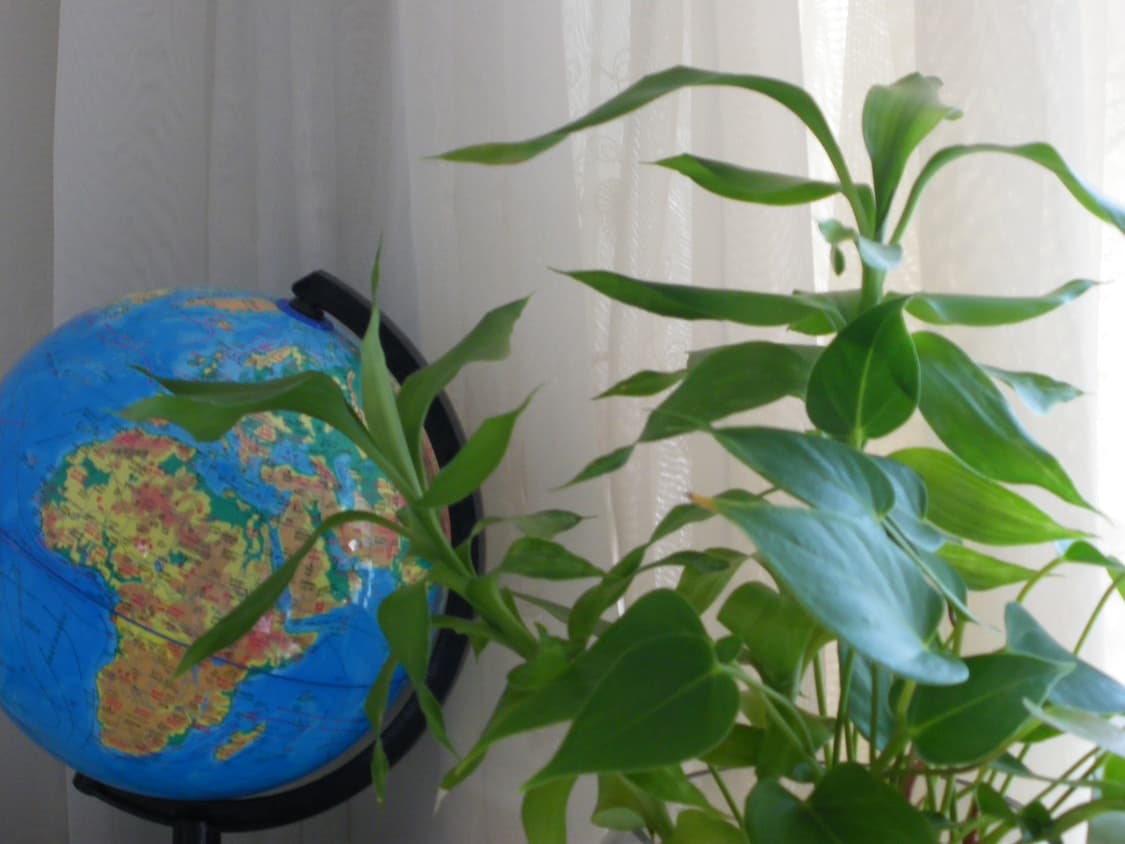 Pentax Optio V20 상품이미지9