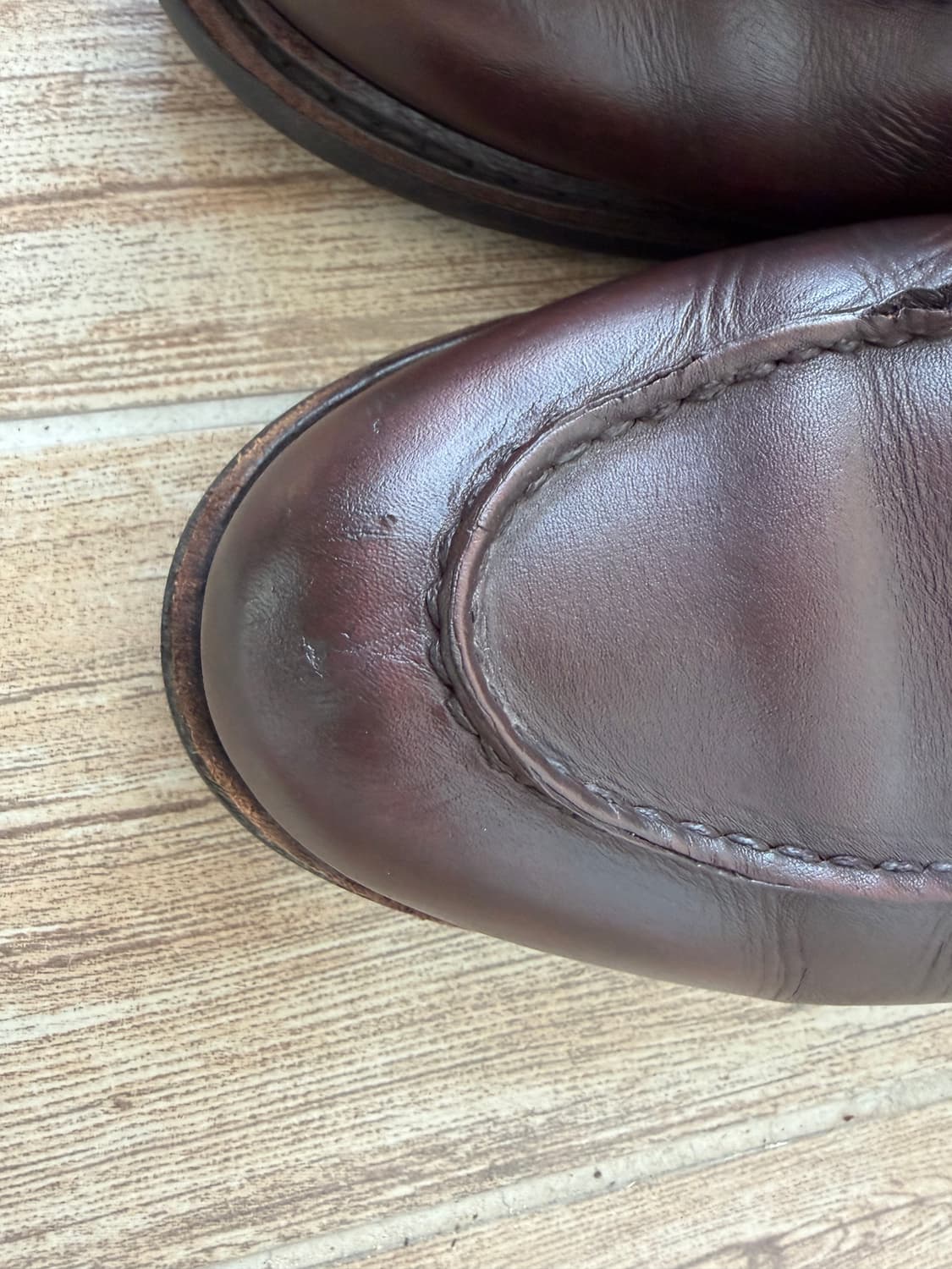 파라부트 샴보드 카페 270 상품이미지2