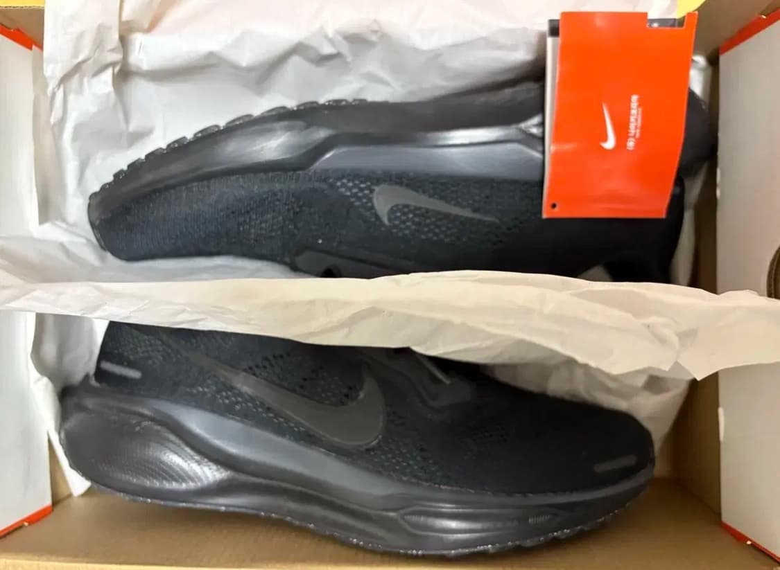 페가수스 41 블랙 상품이미지1