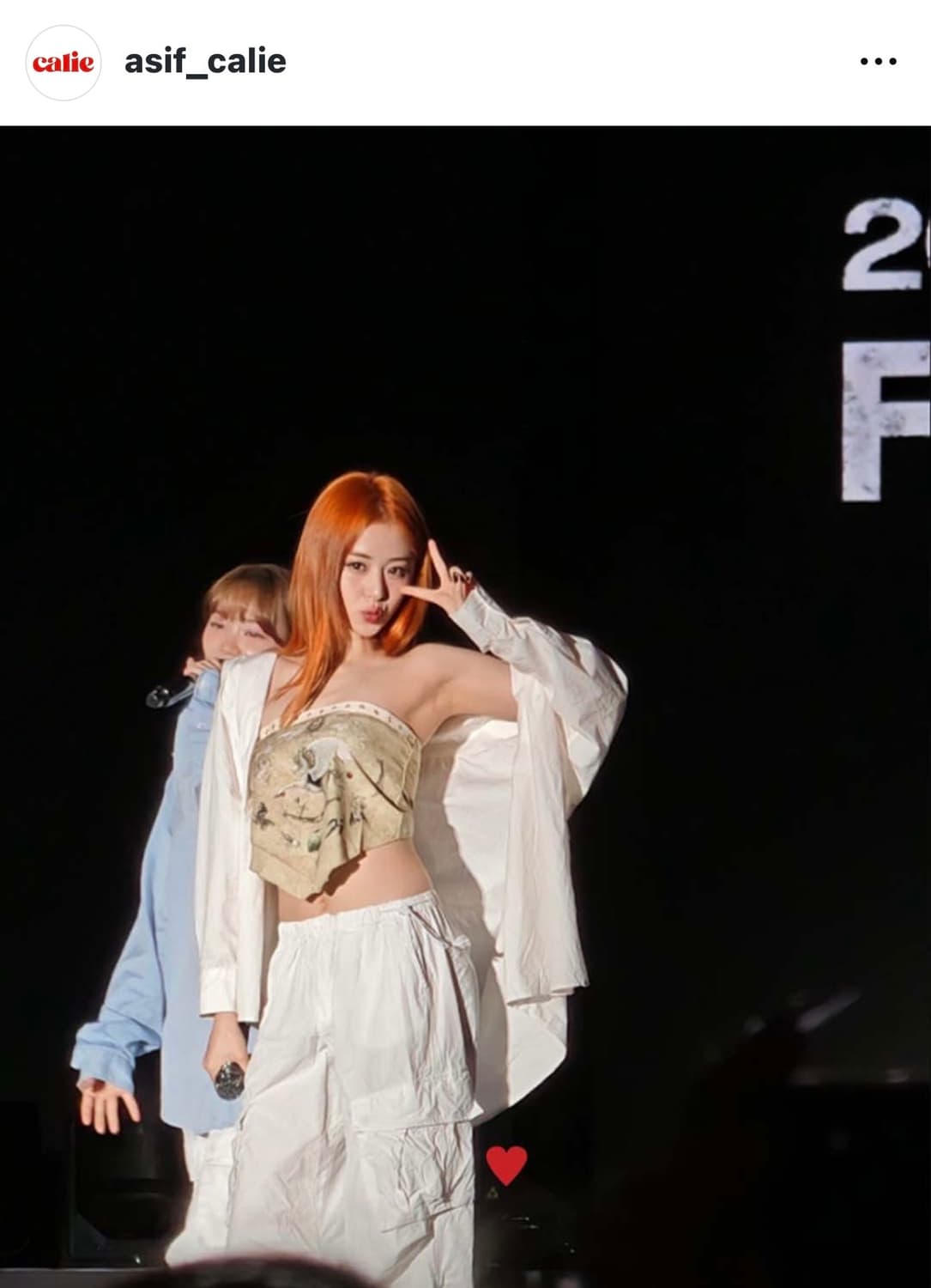 (asif_calie)CARGO PANTS black/white 상품이미지2