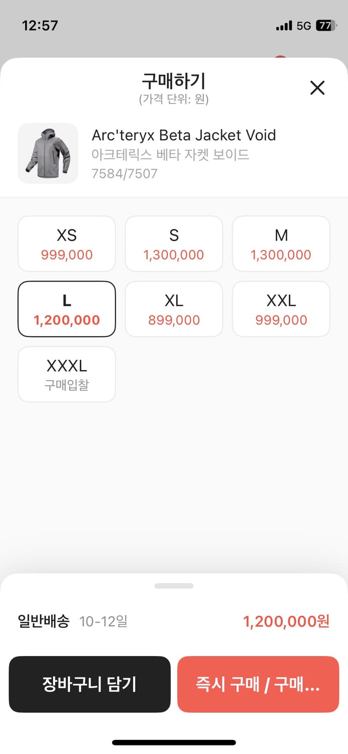 아크테릭스 베타자켓 void L 상품이미지2
