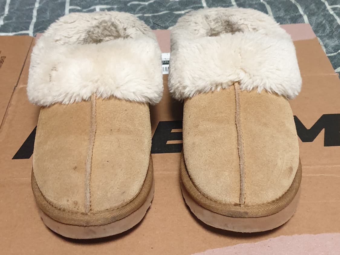 누오보 타제트 양털 어그 체스트넛 (240) 상품이미지1