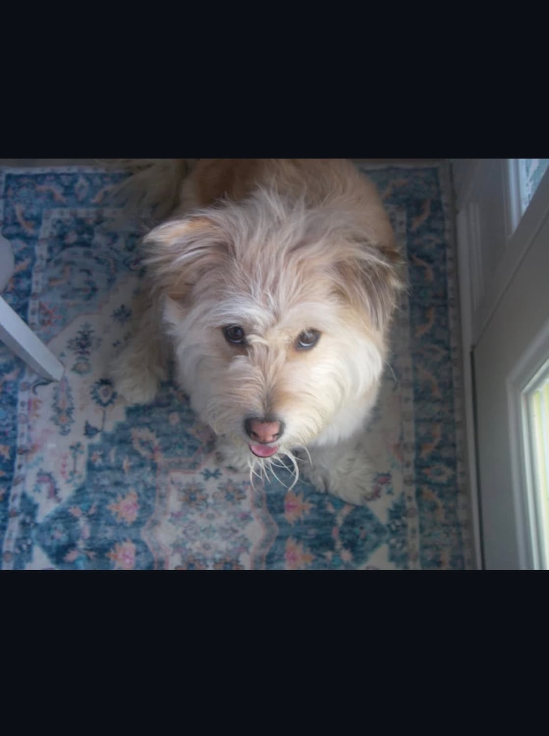 펜탁스 옵티오 w10 디지털카메라 상품이미지9