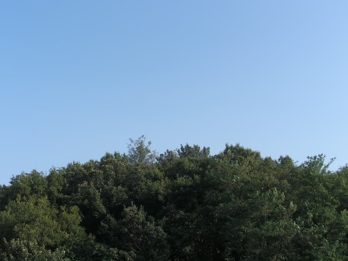 (셀카o) 산요 작티 HD2 디지털캠코더 디카 디지털카메라 상품이미지7