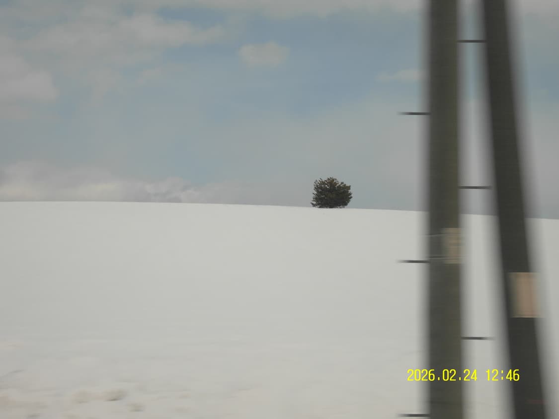 삼성 vluu wb2000 디카 상품이미지8