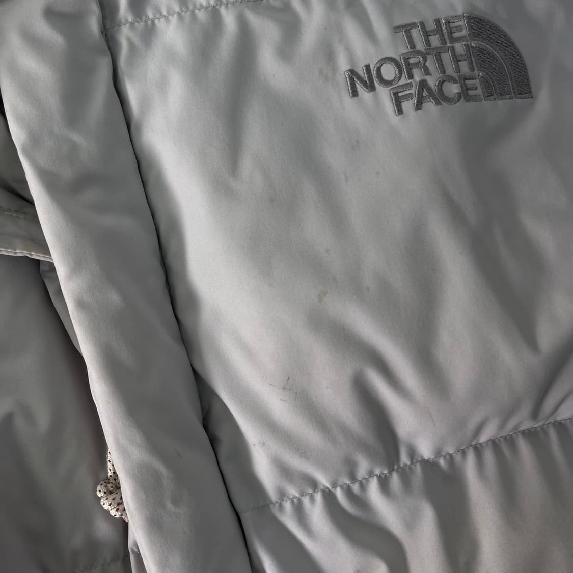 100 노스페이스 에코 구스다운 패딩 상품이미지3