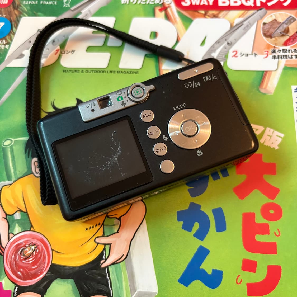 Rare작례🅾️리코 카플리오 R1v 디카 디지털카메라 상품이미지4