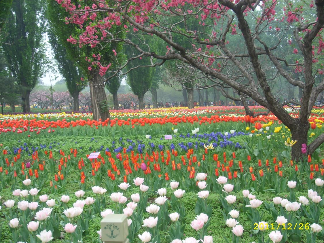 삼성 KENOX X60 빈티지 디카 (CCD센서 디카) 상품이미지9