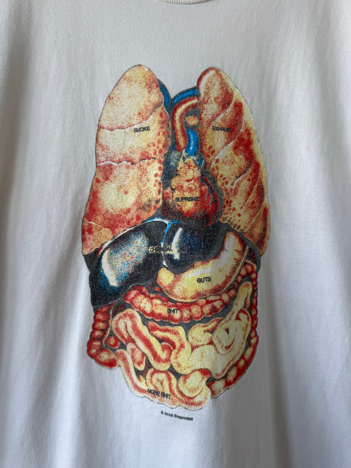 Fw18 슈프림 Guts 티셔츠 상품이미지3