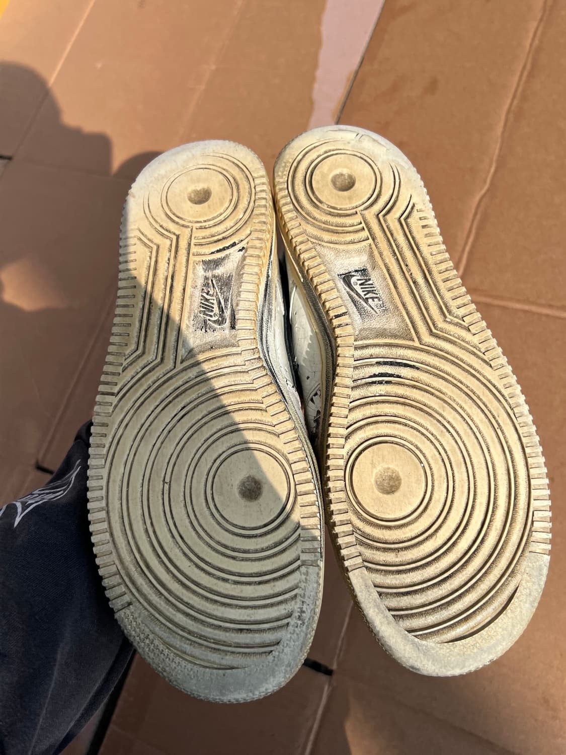 265피마원 상품이미지3