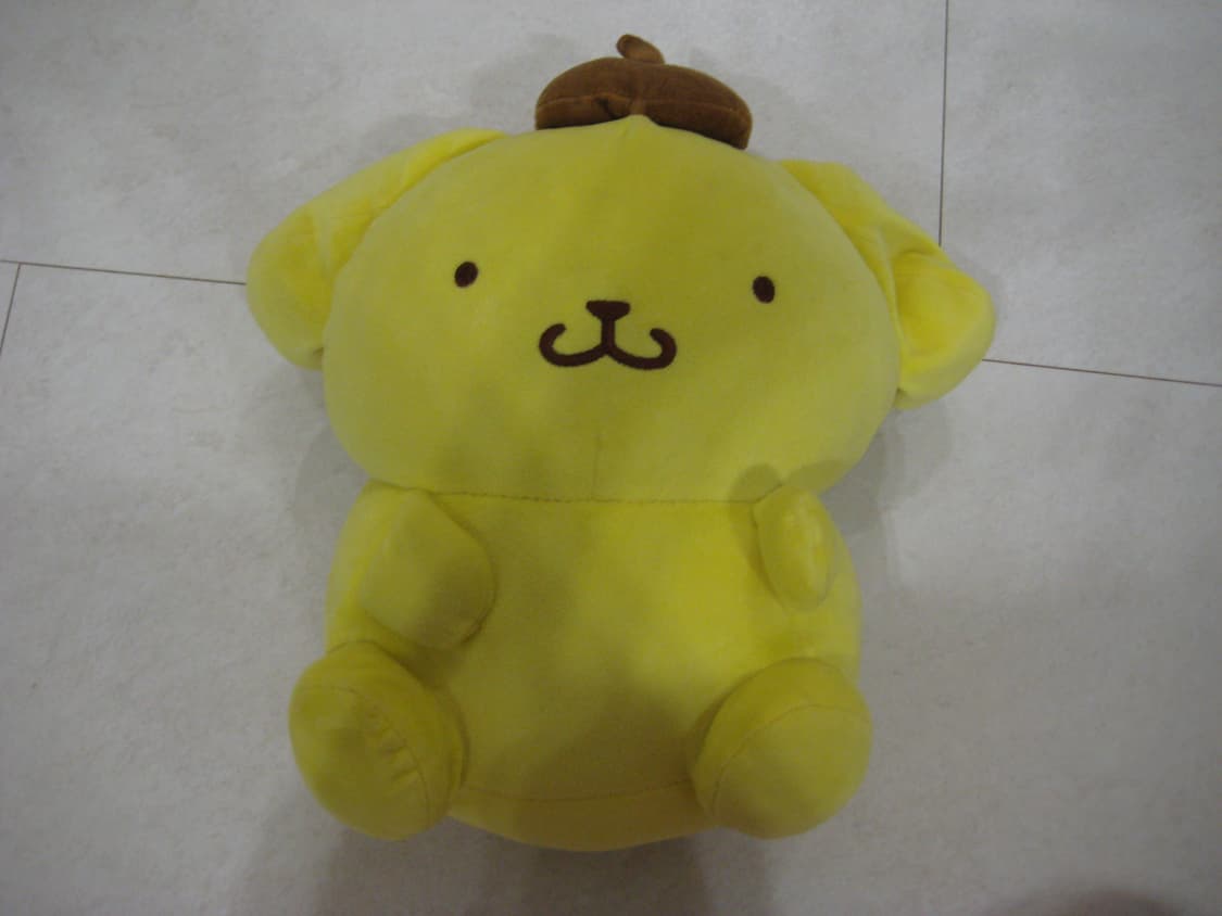 캐논 익서스 70(익시10) 상품이미지6