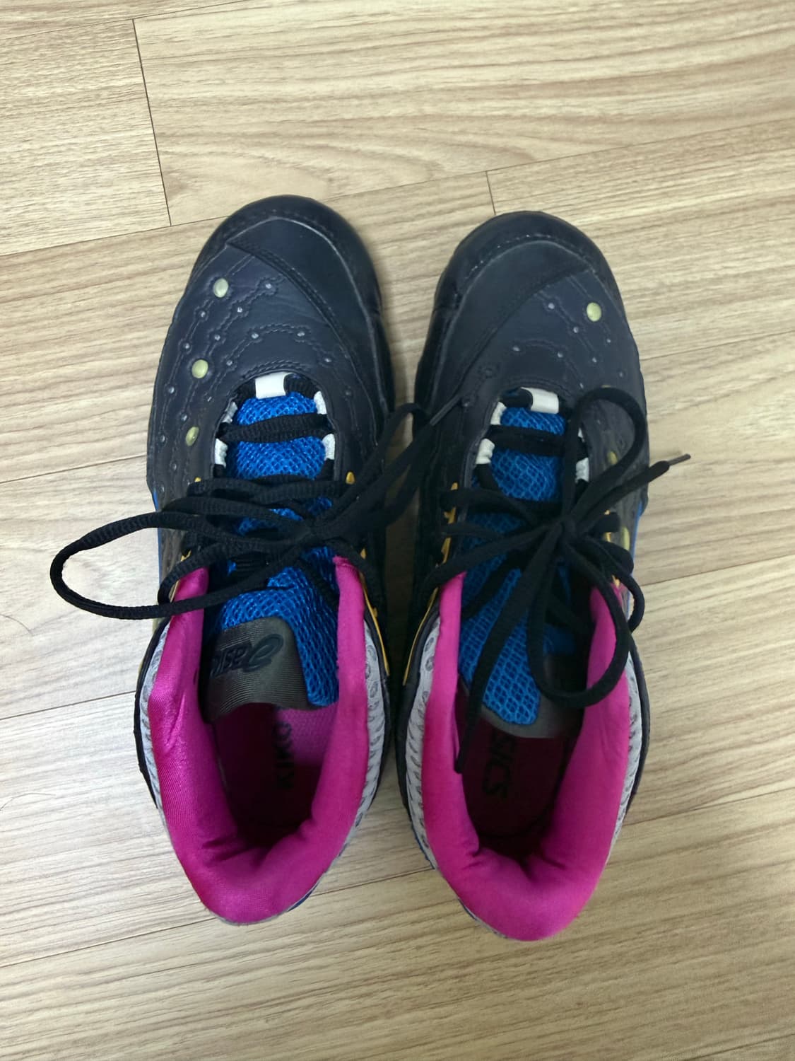 키코 제시릿2 240 상품이미지1