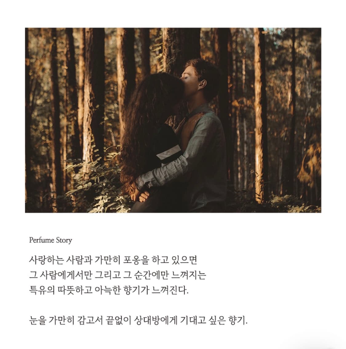 바이레도 베스트셀러 집시워터 50ml 상품이미지3