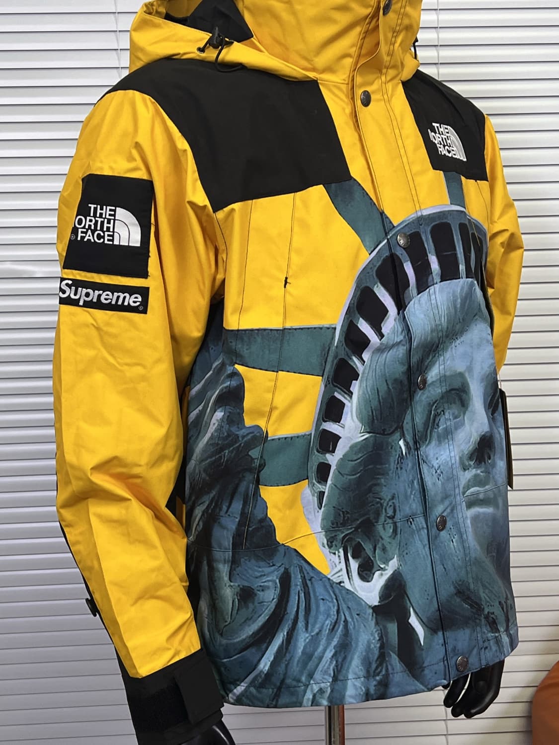 슈프림 x 노스페이스 자유의 여신상 발토로 자켓 옐로우 상품이미지4