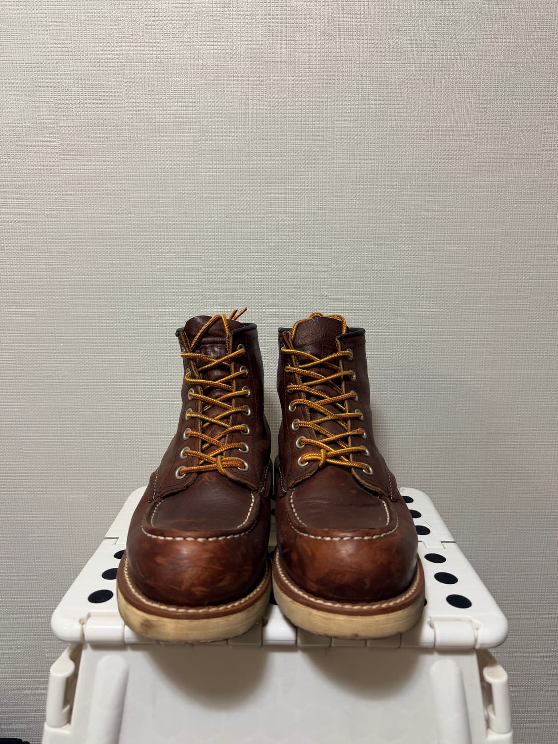 레드윙 목토 US6 240 상품이미지1