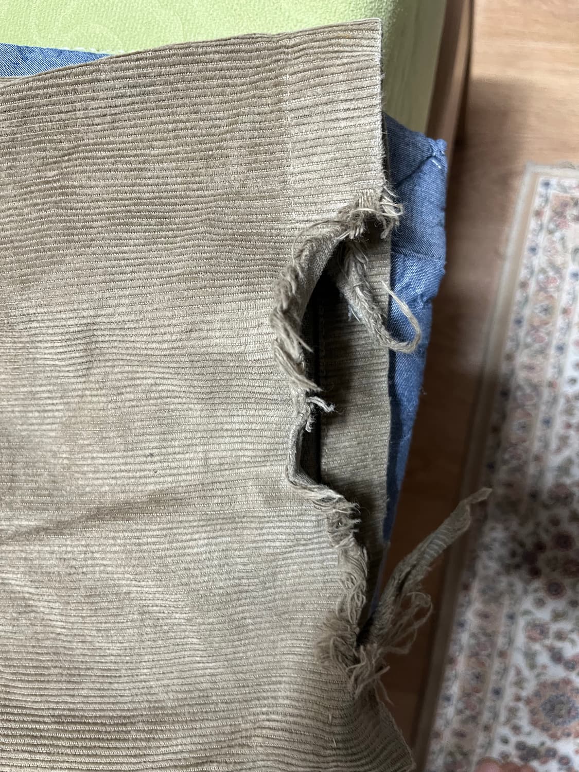 Phipps 코듀로이 팬츠 상품이미지6