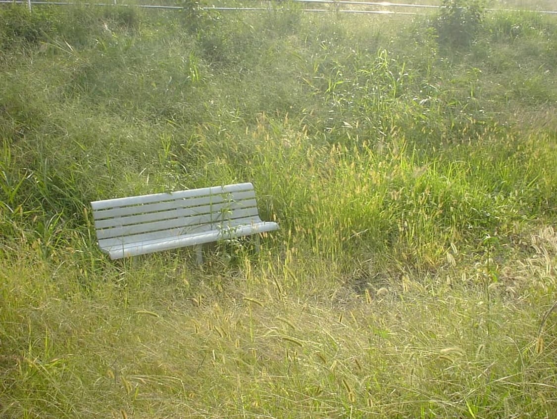 작례O 러브레터 감성 단렌즈 산요 vpc-sx560 디지털카메라 빈티지  상품이미지6