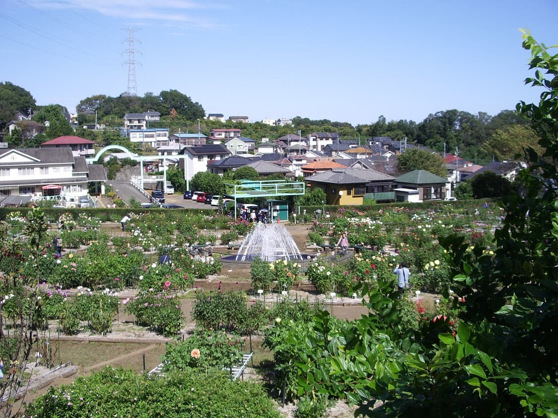 펜탁스 옵티오 S50 실버 📸 감성 빈티지 디카 / 내장메모리 촬영 상품이미지4