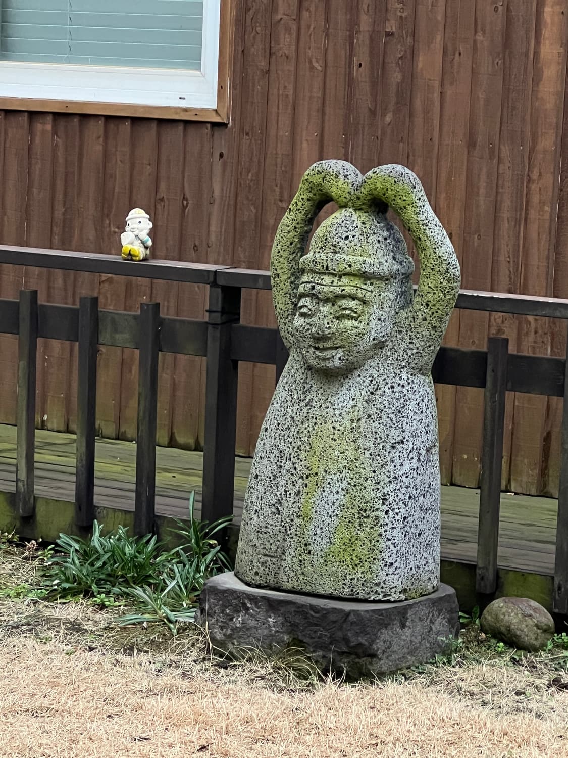 베이프 x 엠부쉬 샤크 후드집업 결제창 상품이미지1