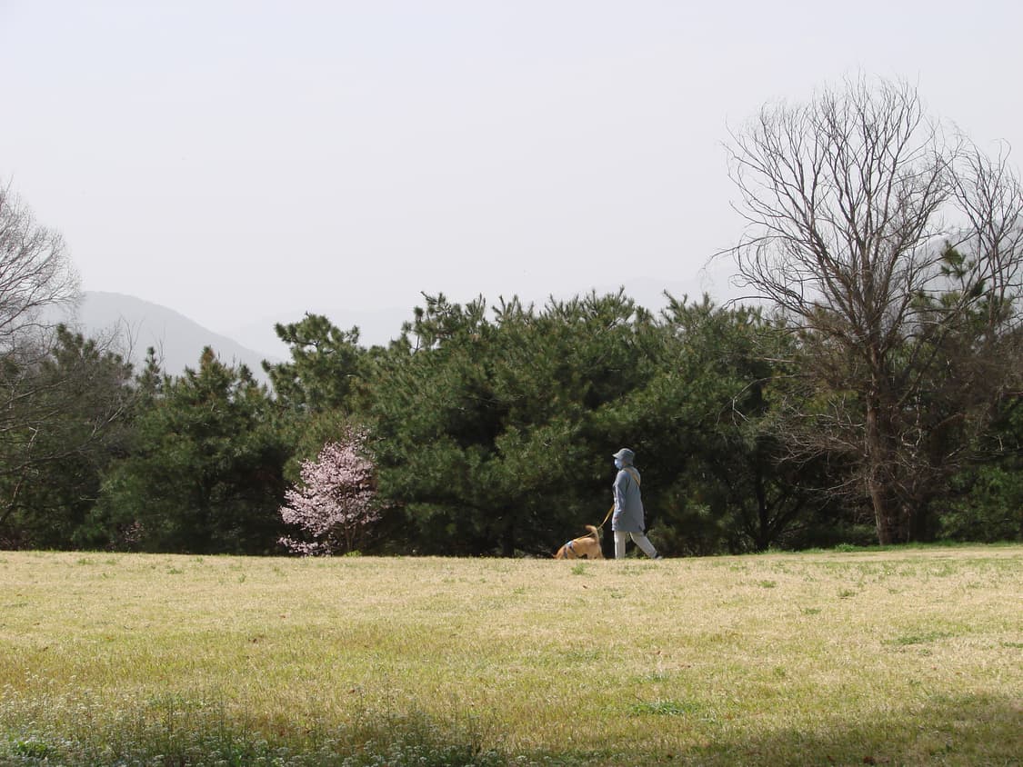 SONY 소니 사이버샷 DSC-H5 상품이미지7