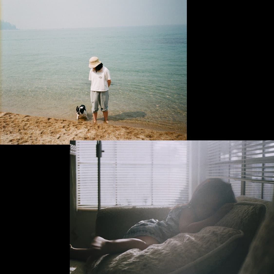 캐논 ae-1 50mm1.8(전체분해오버홀/보증6개월) 상품이미지5