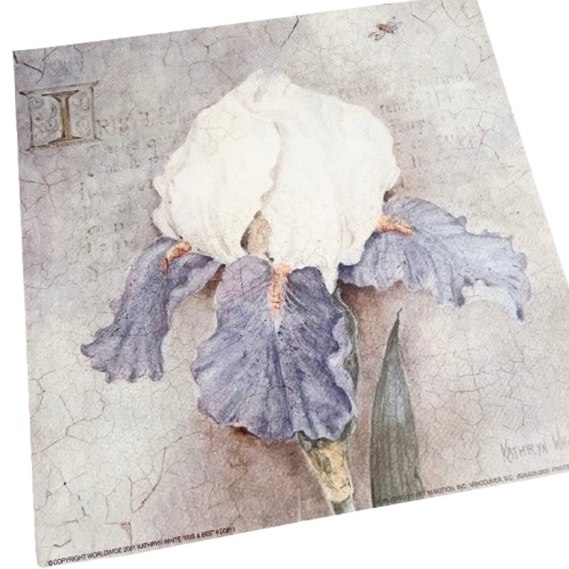 캐서린화이트 작가 작품 프린트 액자 세트 2pcs 상품이미지5