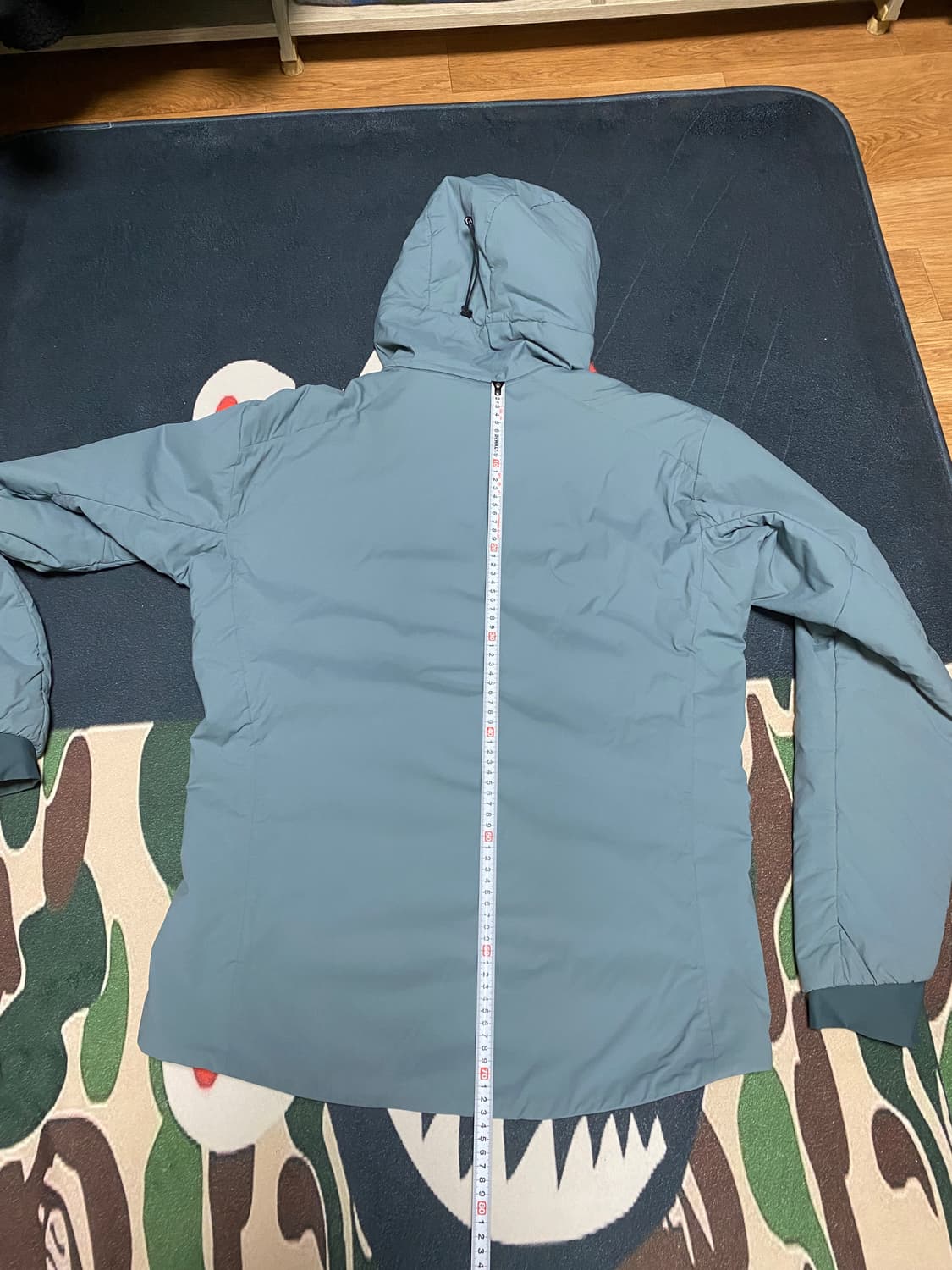 아크테릭스 프로톤lt L사이즈 상품이미지7