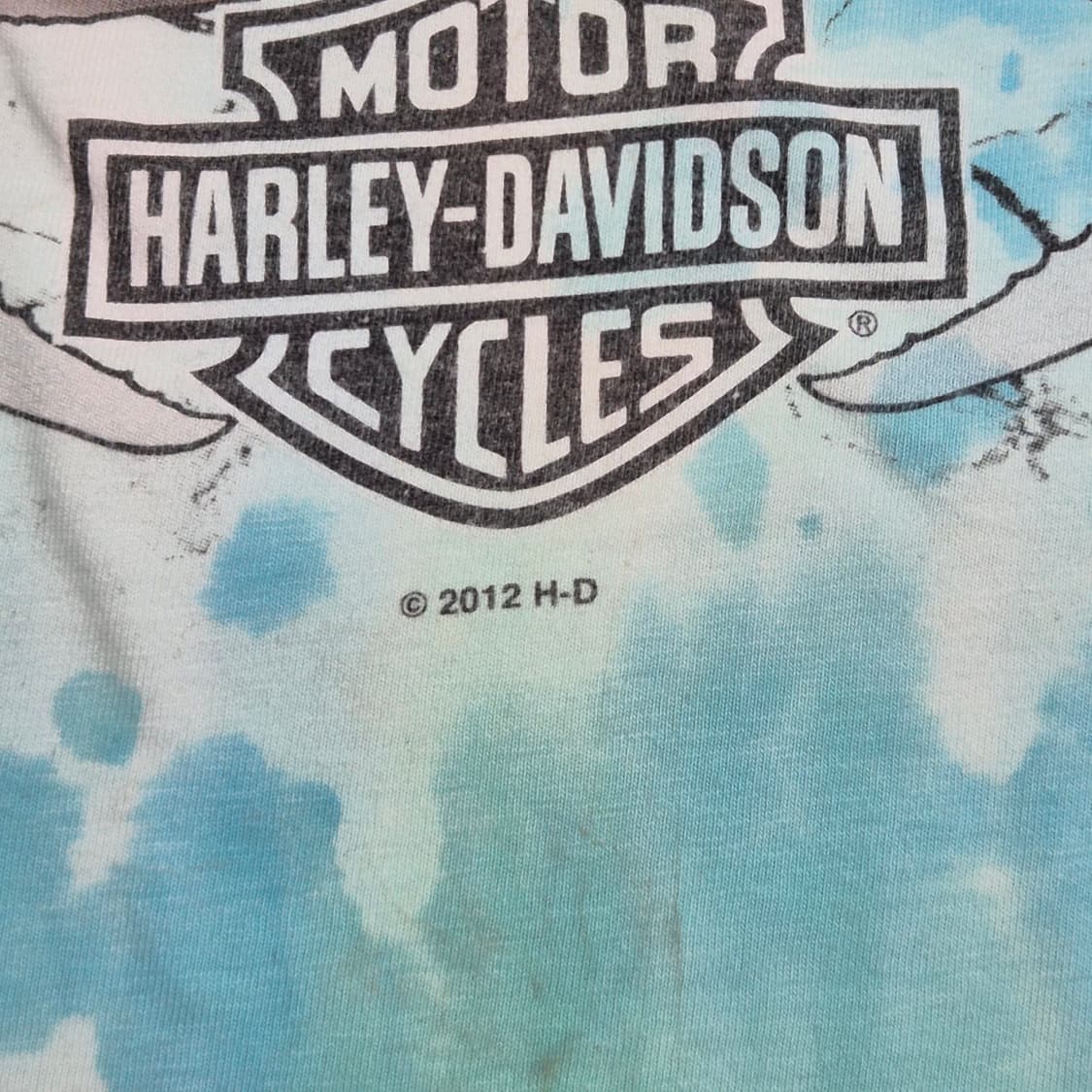 [XXL]할리데이비슨 라스베가스  -661 상품이미지5