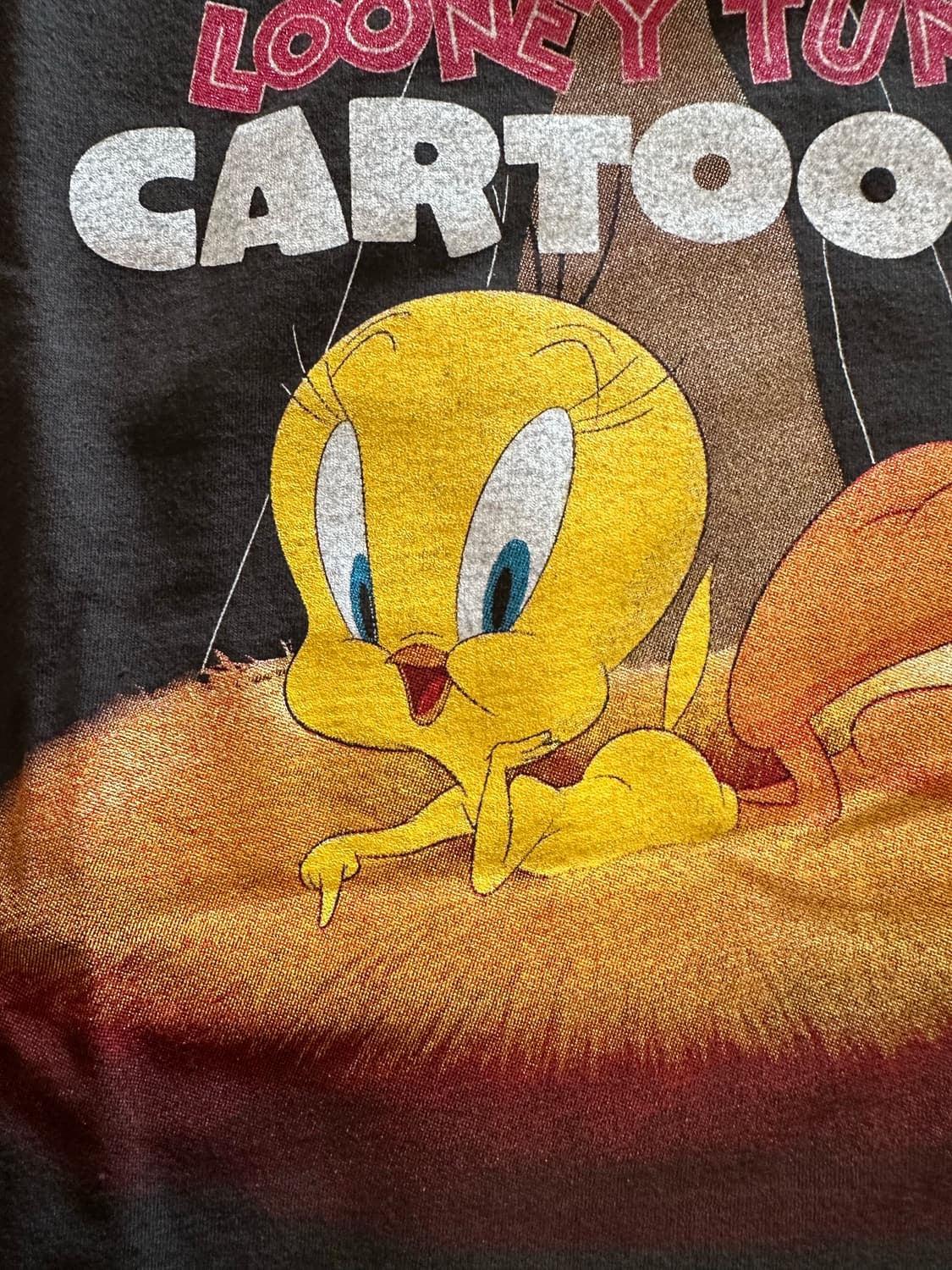 00s Looney tunes 트위티&실베스터 XL 상품이미지3