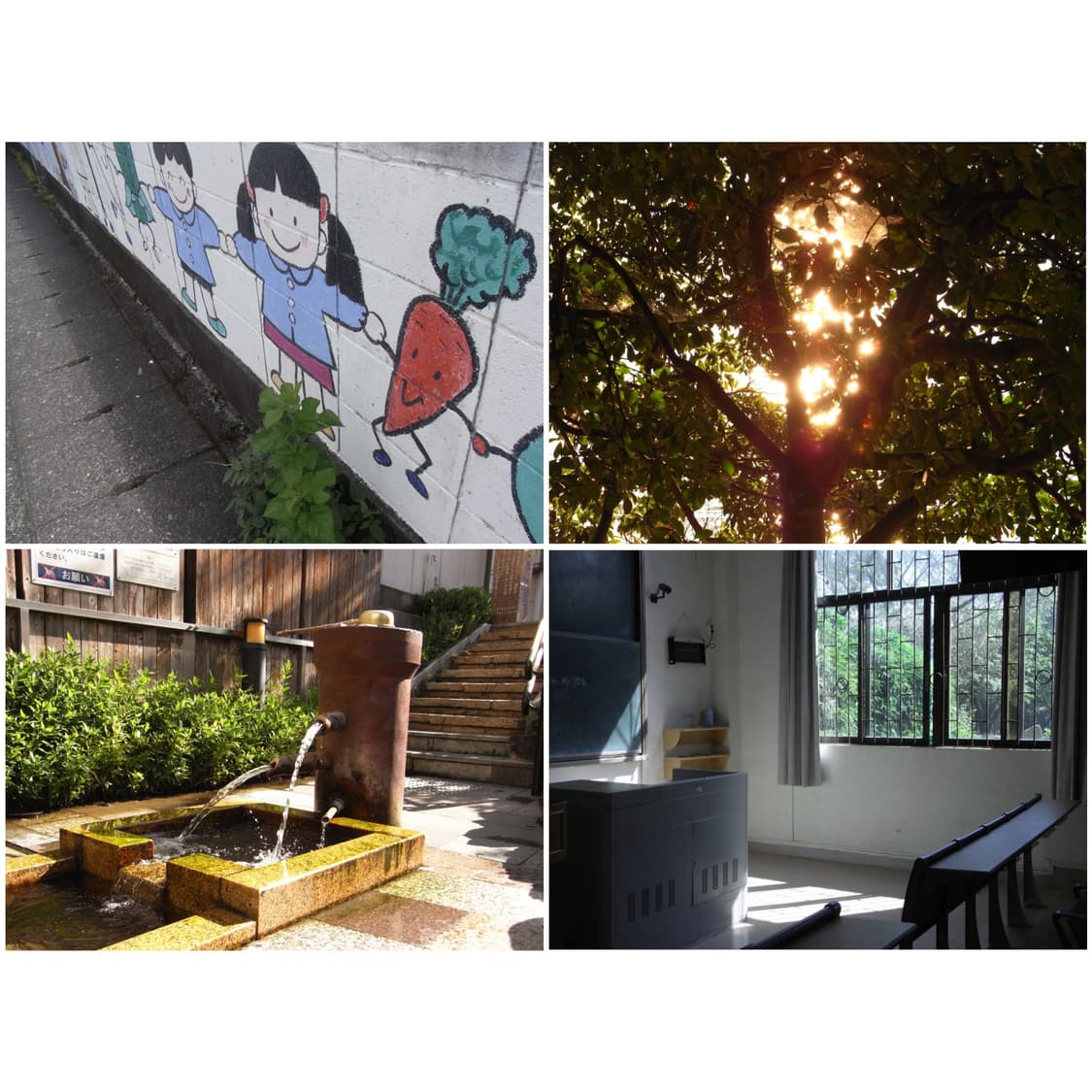 리코 R10 블랙 빈티지디카 상품이미지2