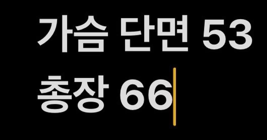 [정품/M] 미쏘니 빈티지 빅로고 스웨트셔츠 버건디 b15 상품이미지7