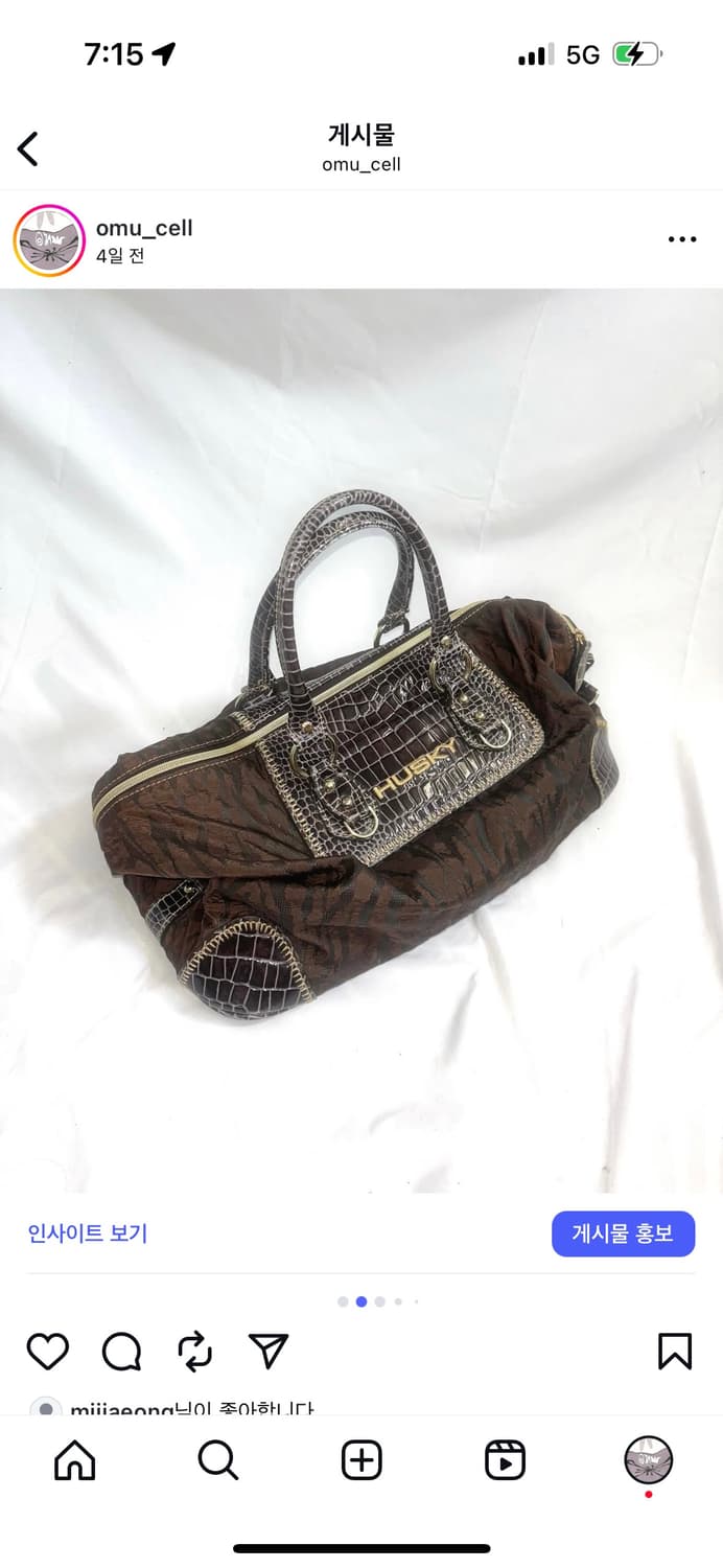 y2k HUSKY BAG 상품이미지2