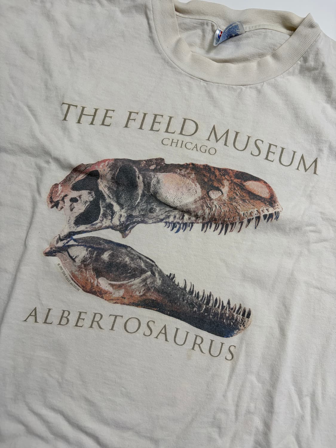 90s Museum Tee (white) 상품이미지5