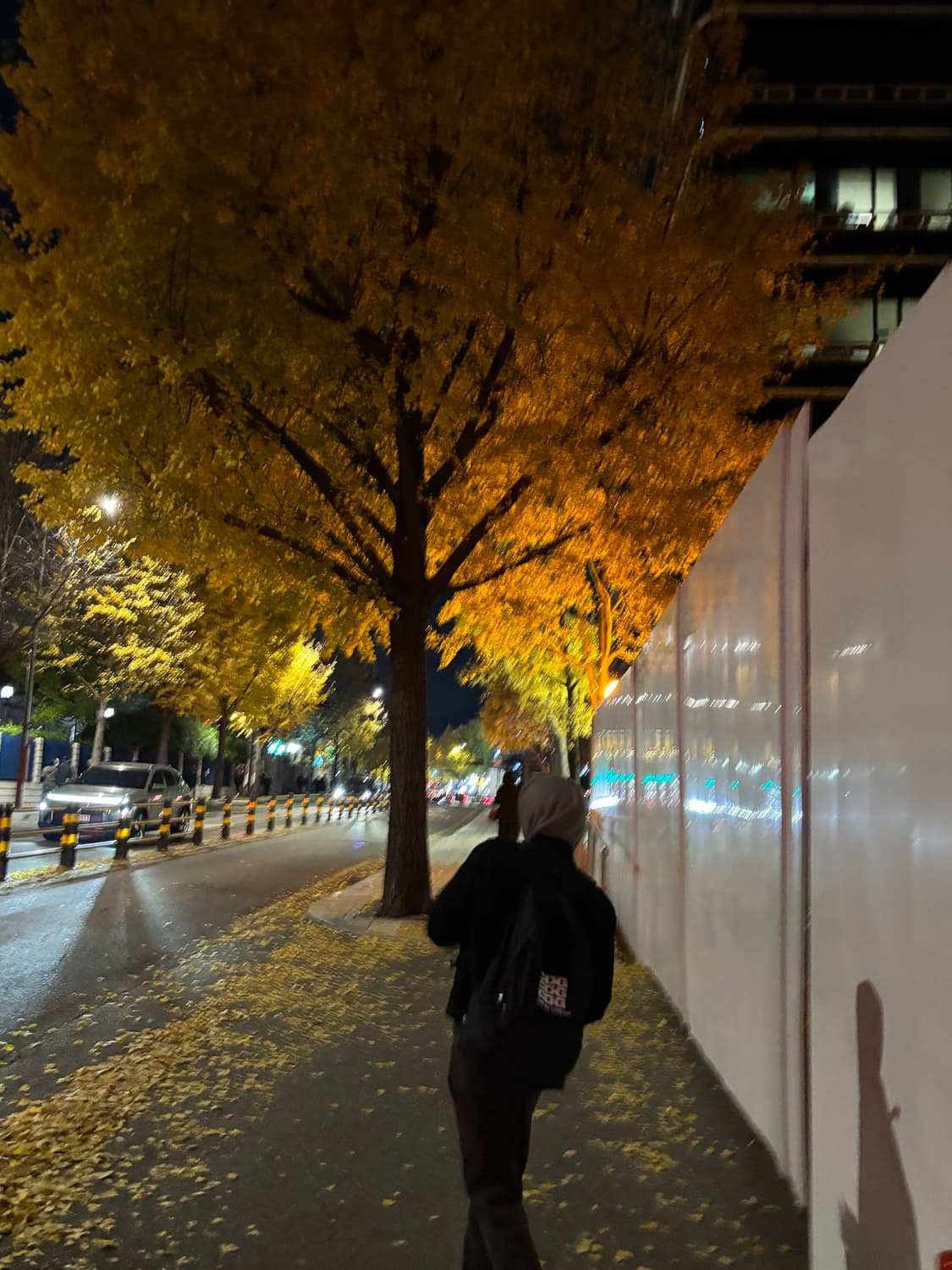 Comme de garcons CDG Backpack 상품이미지3