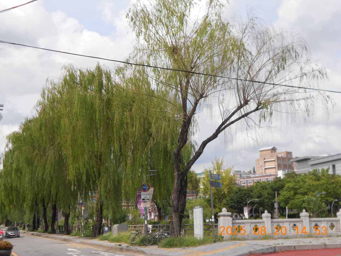 📸Nikon coolpix s2600 니콘 쿨픽스 (☁️뽀용색감) 상품이미지6