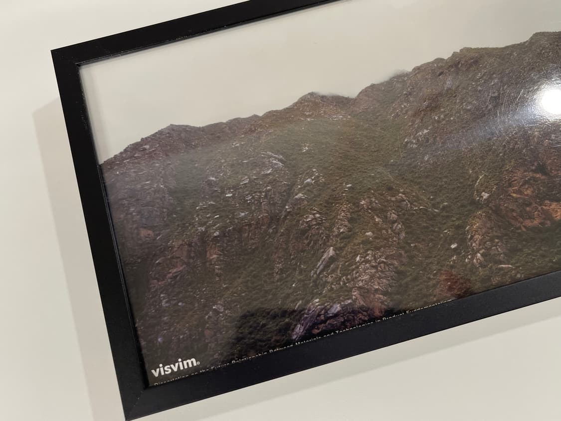 비즈빔 2008SS 아트 포토 visvim 상품이미지2