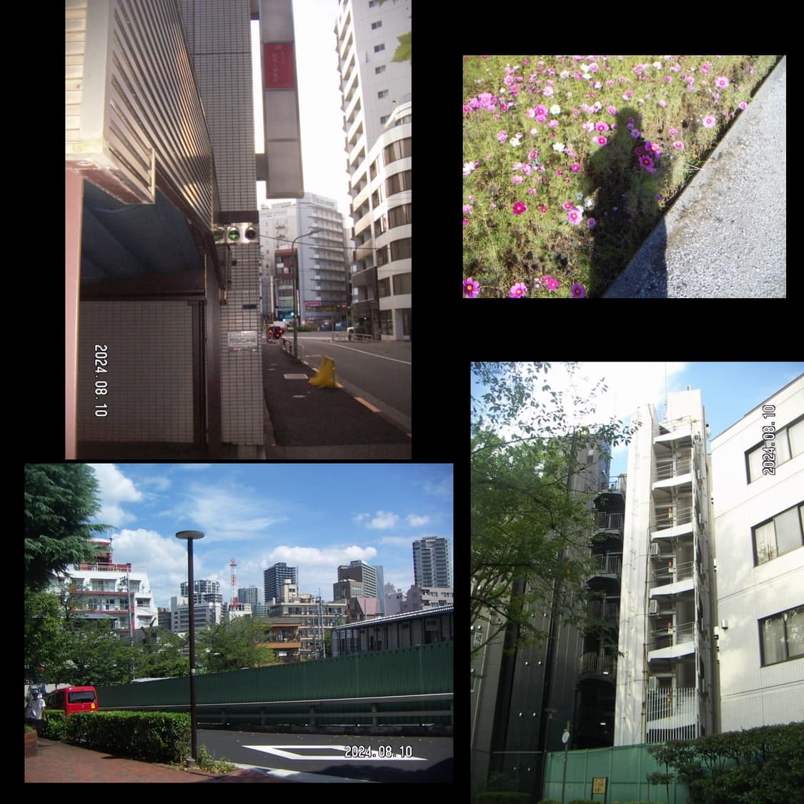 미놀타 x31 박스세트 (작례 0) 상품이미지4