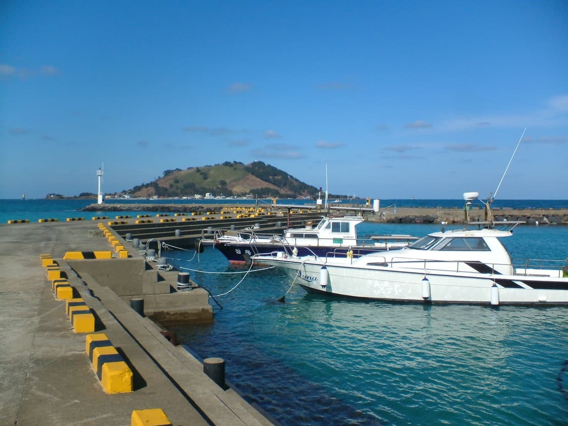 후지필름 파인픽스 A605 상품이미지9