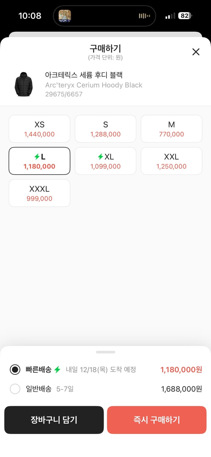 Arc'teryx Cerium LT Hood Jacket 경량패딩 상품이미지2