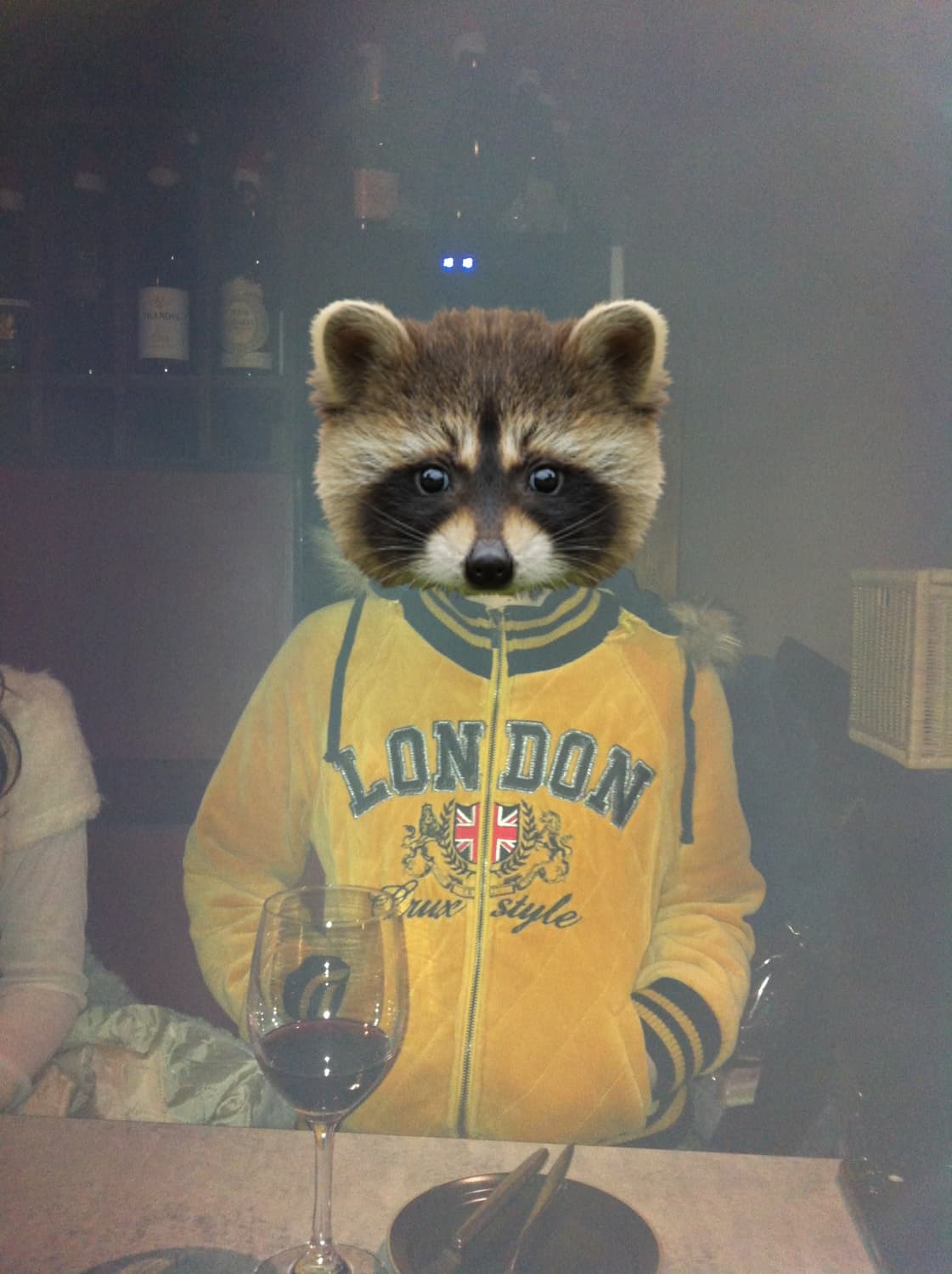 런던 벨벳 퍼 누빔 점퍼 상품이미지2