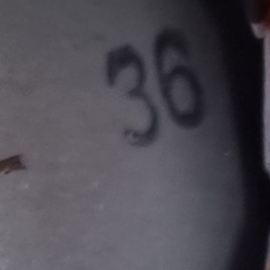 필립모델 여성스니커즈36 230 상품이미지6