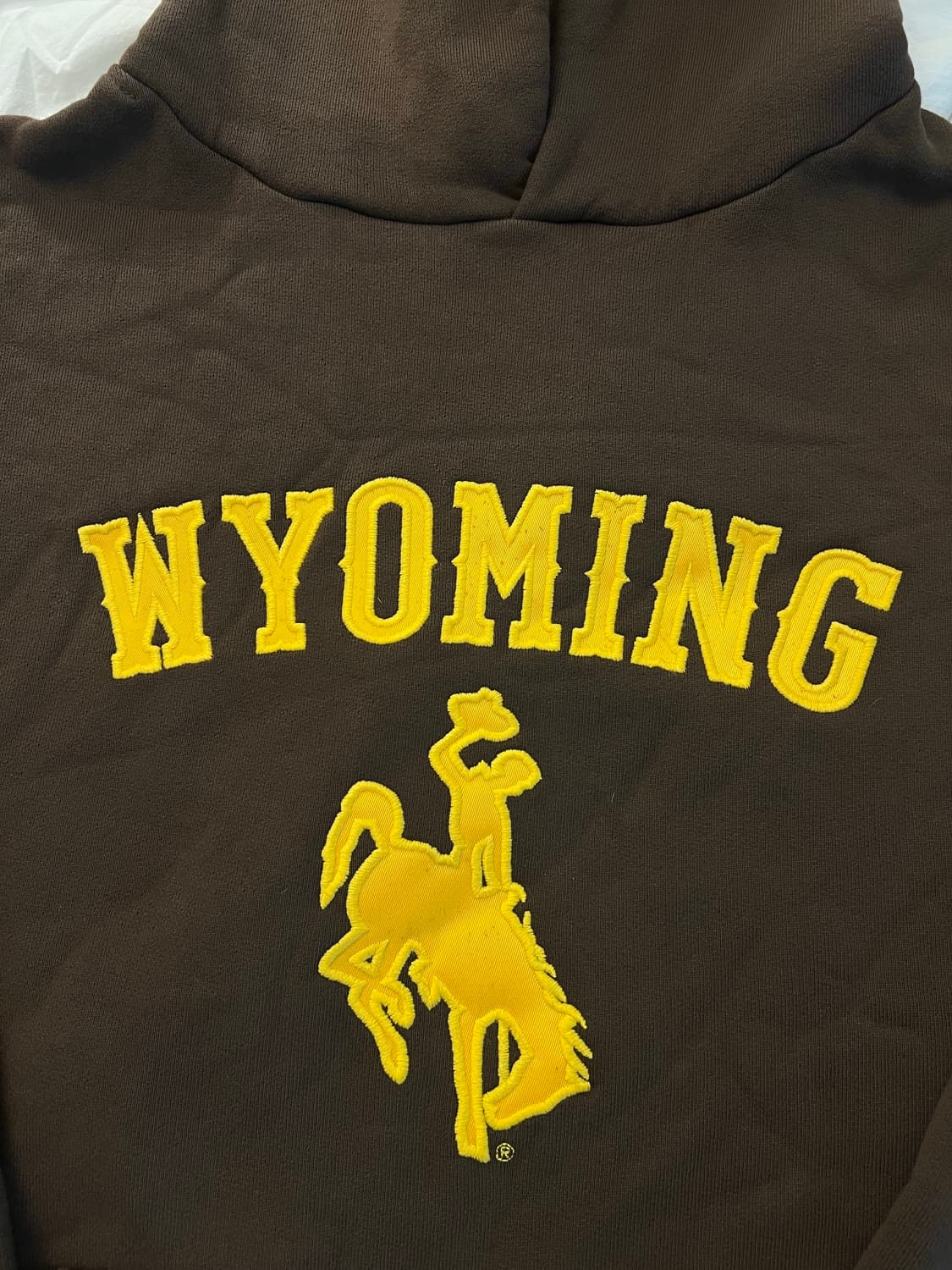 아킴보 클럽 wyoming 후드티 M 상품이미지4
