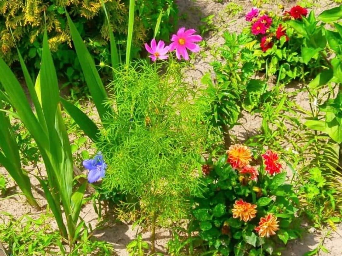 [인플루언서&레어!] 후지필름 Finepix F440 디지털카메라 상품이미지9