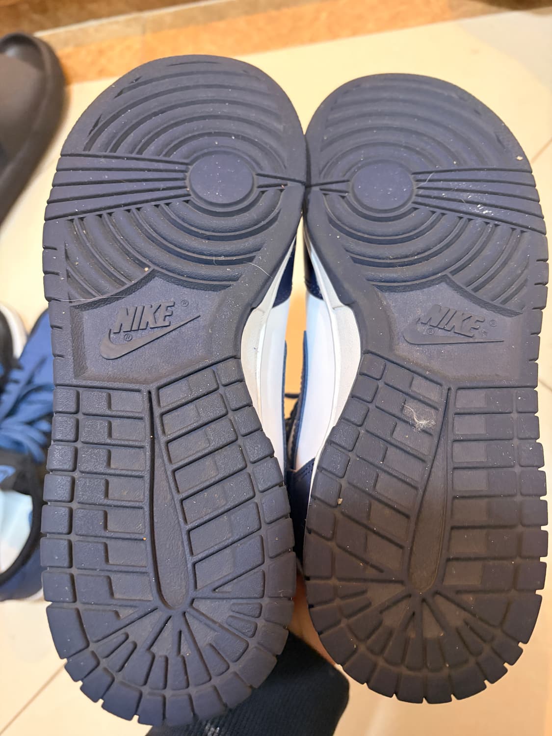 덩크로우 그린 260 상품이미지3